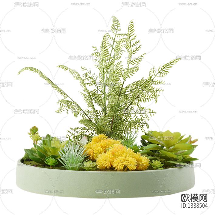 现代简约多肉盆栽