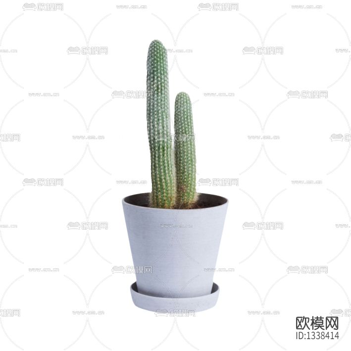 现代简约陶瓷花瓶仙人掌绿植