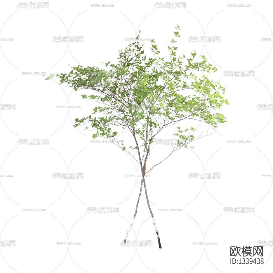 现代简约摆放绿植下载