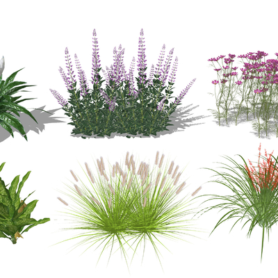 现代灌木景观植物花草su模型