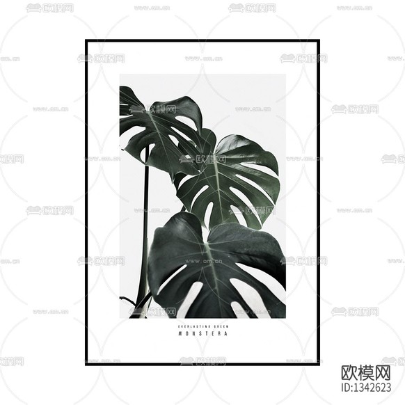 现代轻奢创意龟背叶绿植装饰画下载