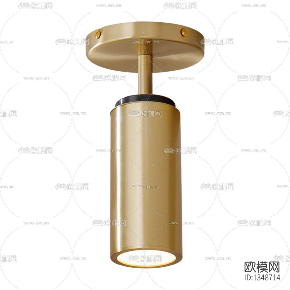 现代轻奢黄铜外露射灯