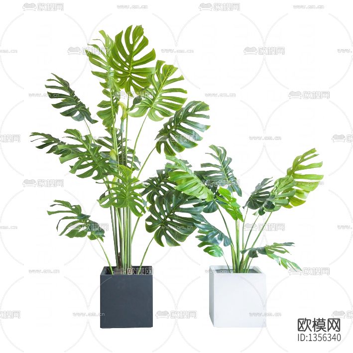 现代简约旅人蕉摆放绿植下载