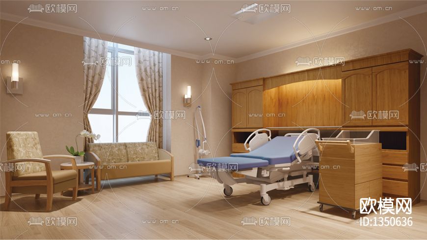 嘉兴高端妇产医院cad施工图下载（渲染图4）