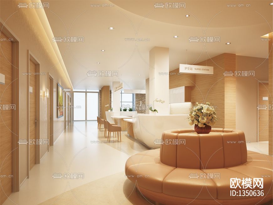 嘉兴高端妇产医院cad施工图下载（渲染图2）