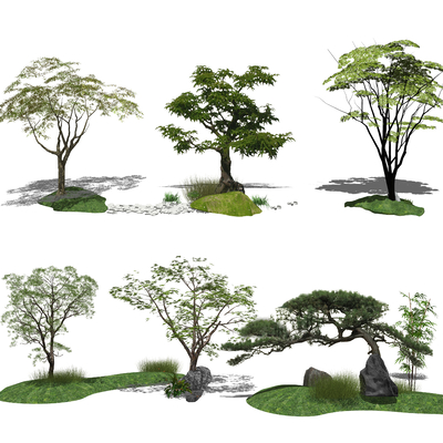  现代乔树景观树su模型 