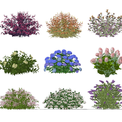  现代花草灌木植物su模型 