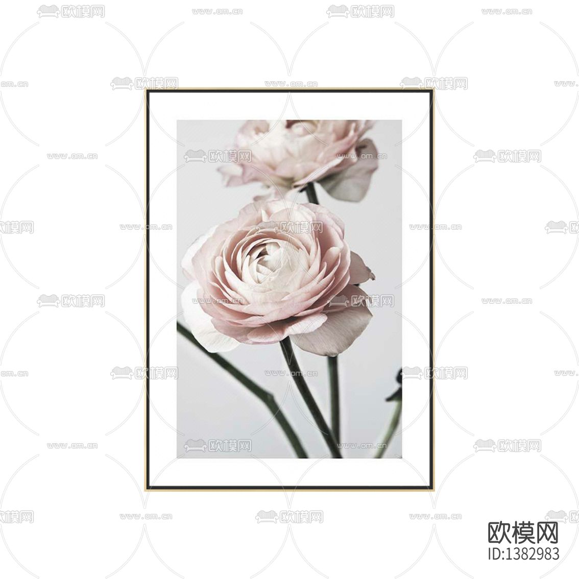 法式轻奢花卉摄影下载