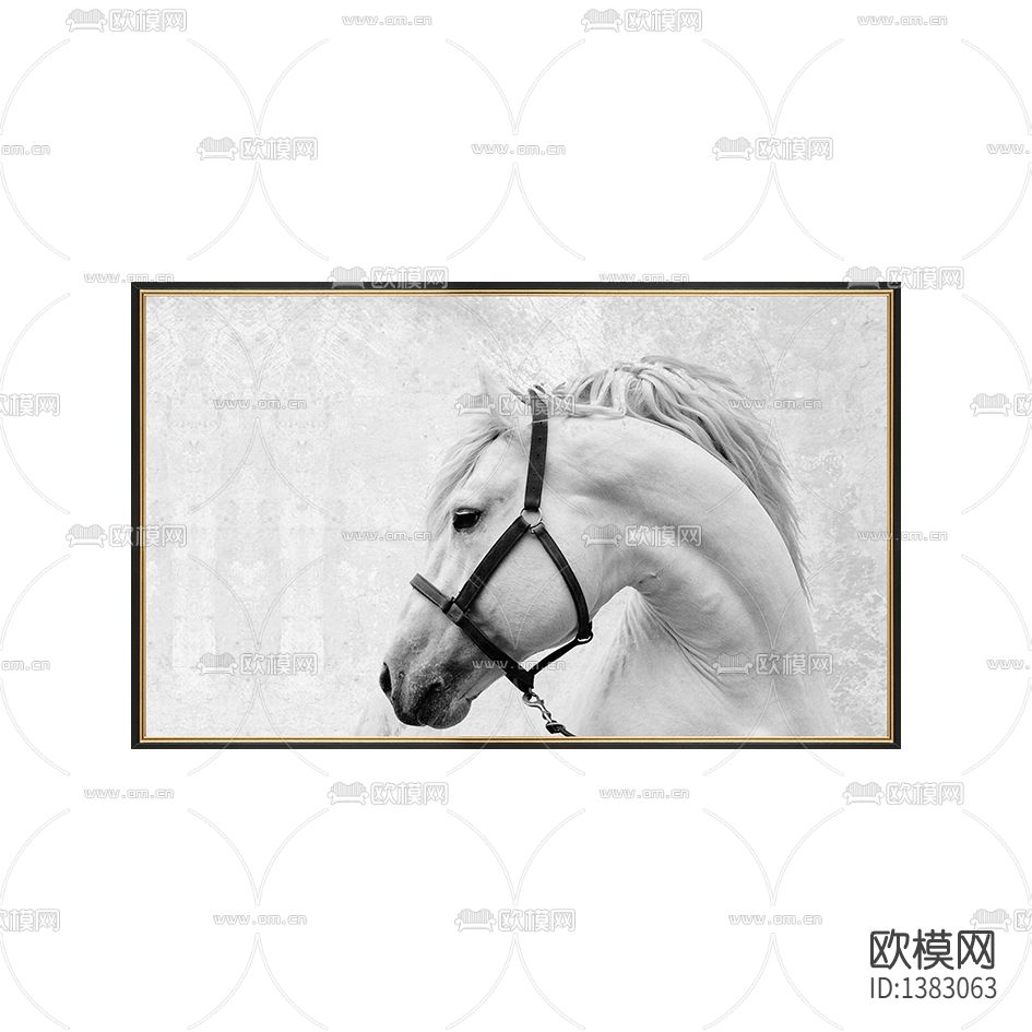 现代简约创意黑白马首摄影下载