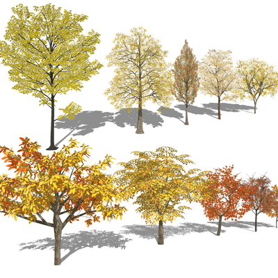  现代红枫树su模型 