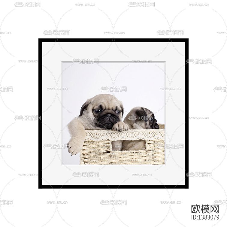 现代简约创意小狗摄影下载