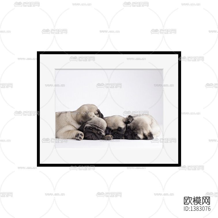 现代简约创意四只小狗摄影下载