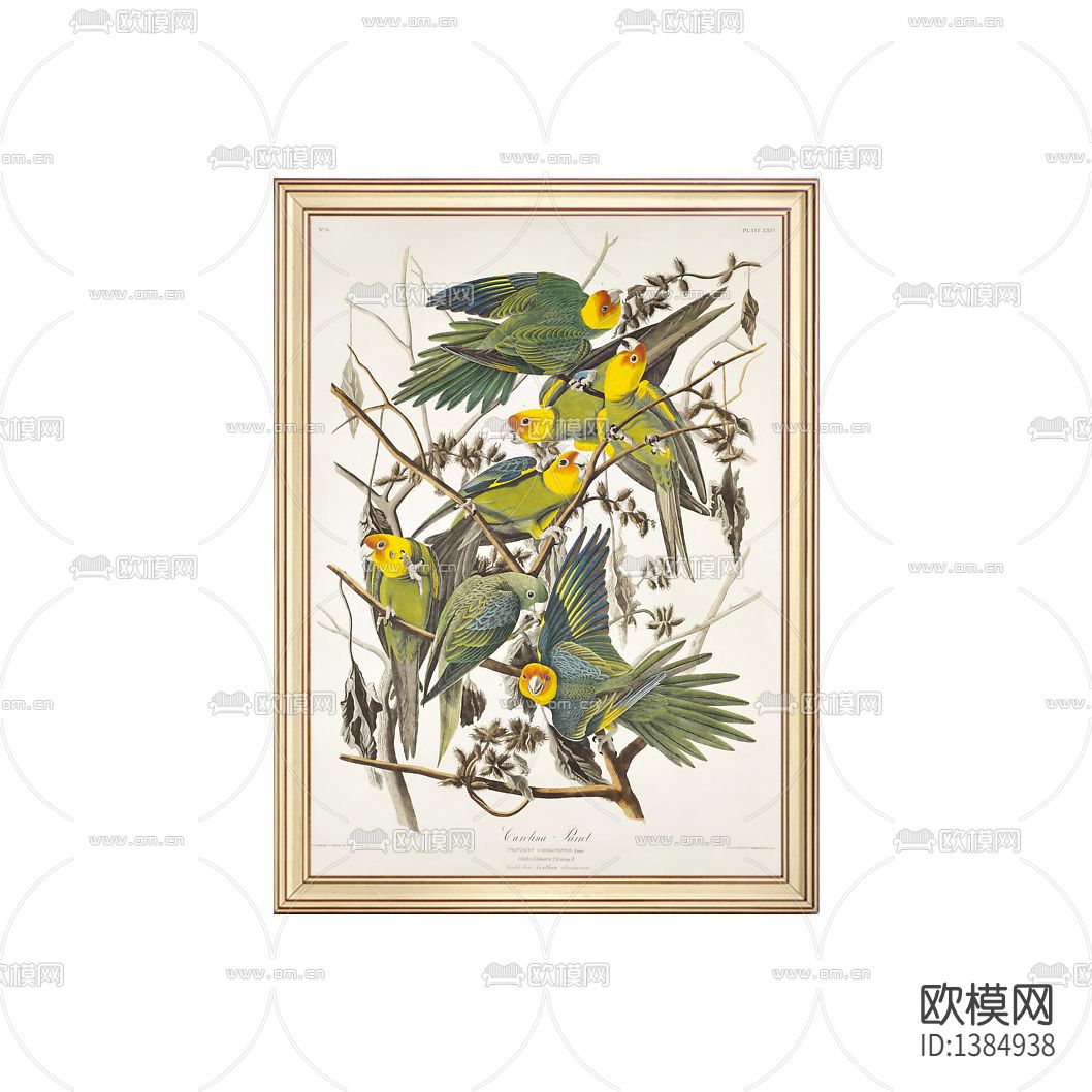 美式简约创意色彩手绘鹦鹉装饰画下载