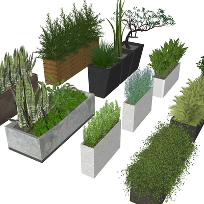  现代盆栽花槽花箱su模型 
