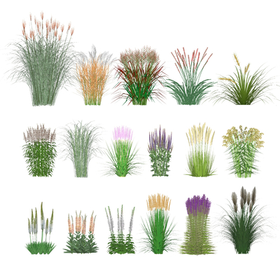  现代绿植花草su模型 