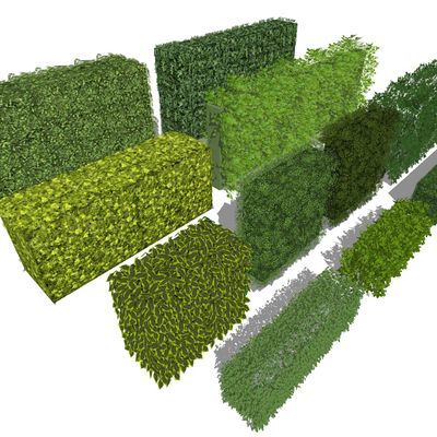  现代绿篱灌木su模型 