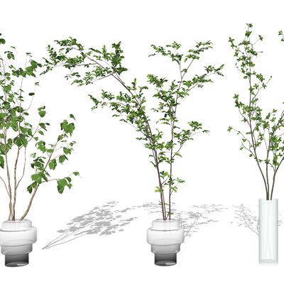 现代树枝花瓶插花su模型