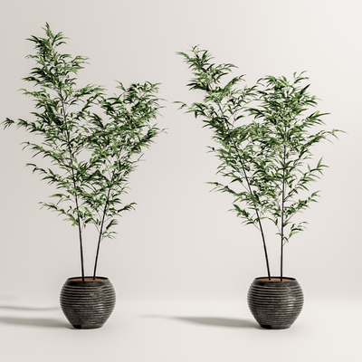  新中式竹子盆栽su模型 