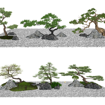  新中式罗汉松景观树su模型 