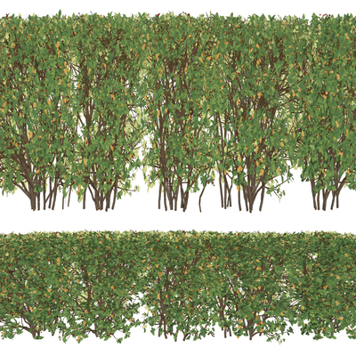  现代绿篱灌木su模型 