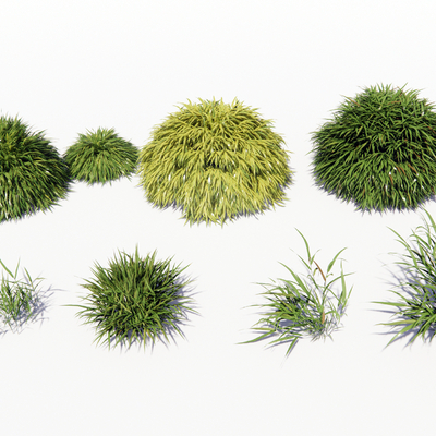  现代地被草丛su模型 