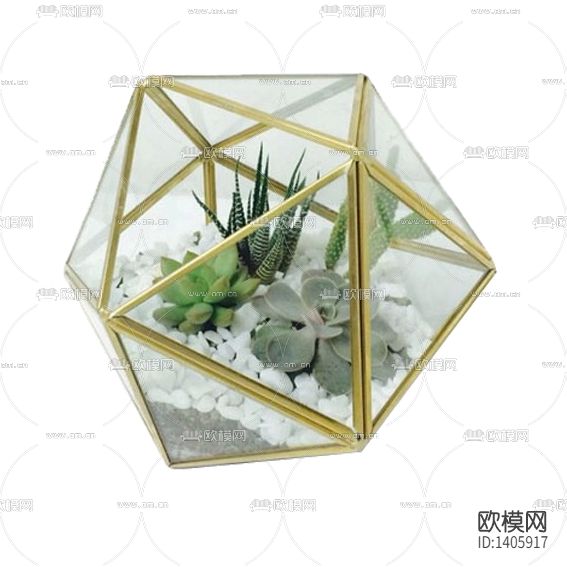 现代轻奢不锈钢玻璃花房多肉盆栽