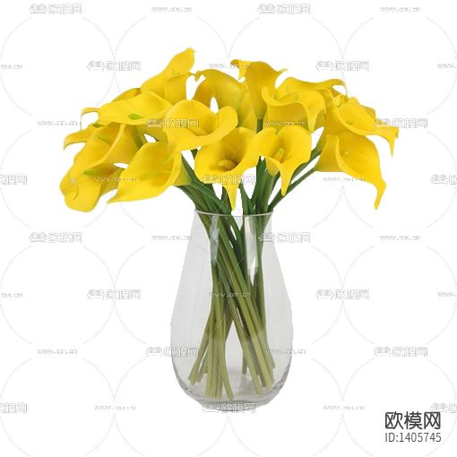 现代简约玻璃花瓶黄色马蹄莲花艺
