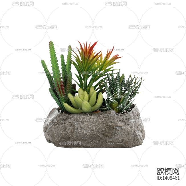 北欧简约创意多肉盆栽