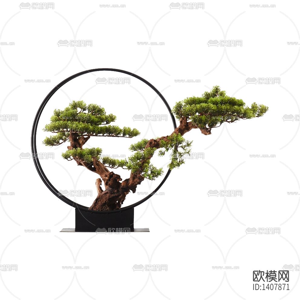 新中式禅意罗汉松盆景
