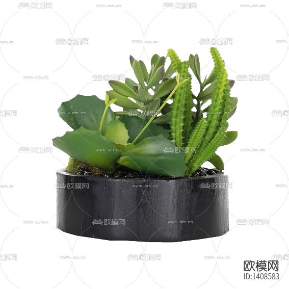 新中式禅意仙人掌绿植盆景