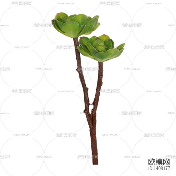 中式禅意双头宝石莲绿植