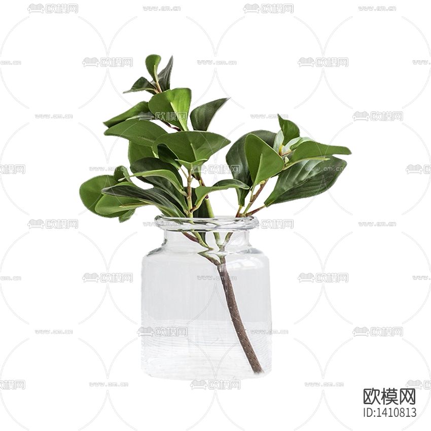 现代简约创意玻璃花瓶摆放绿植