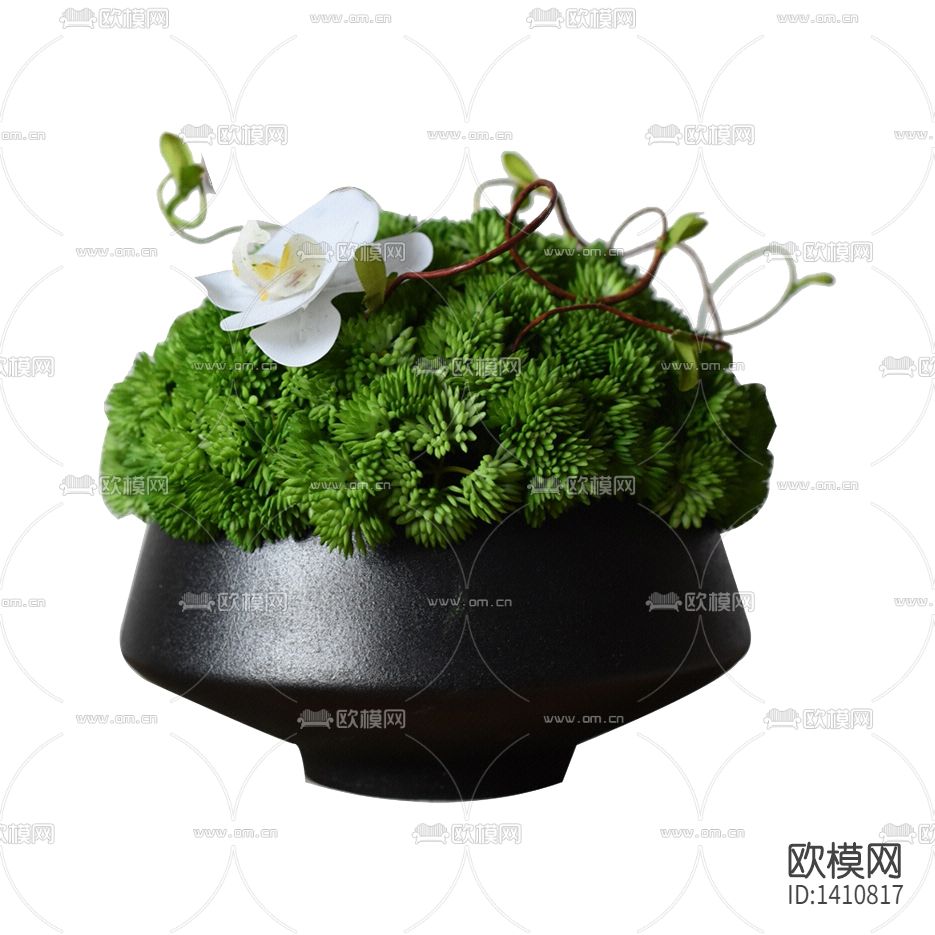 新中式禅意陶瓷花盆摆放绿植下载