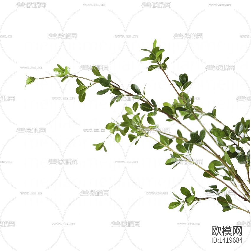 现代简约挂壁绿植