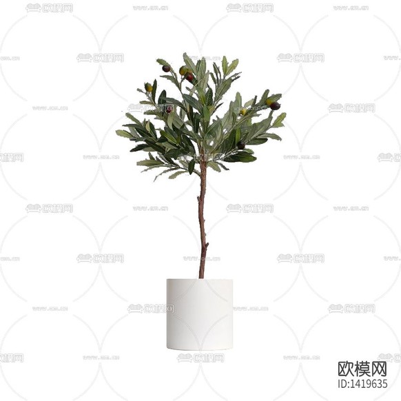 北欧简约创意小型树枝绿植下载