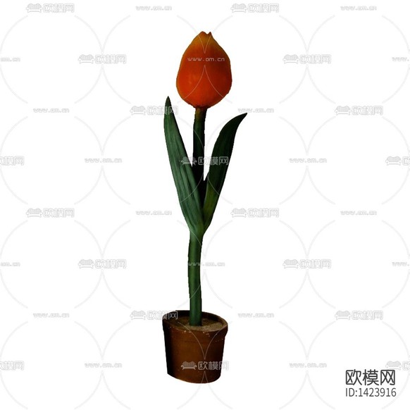 北歐簡(jiǎn)約擺放花藝下載