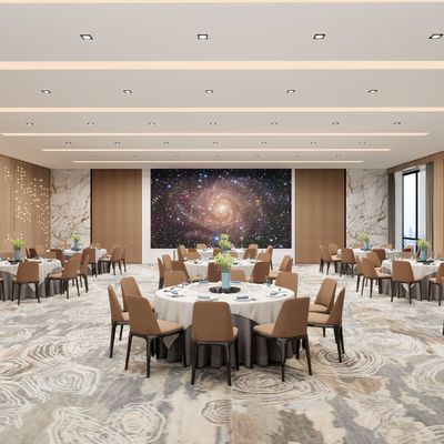  现代宴会厅su模型 