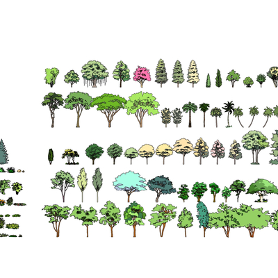  现代树木su模型 