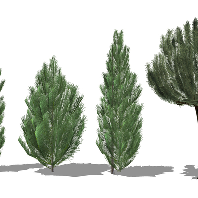  现代树木灌木su模型 