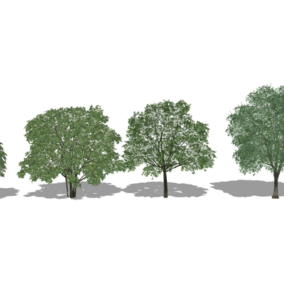  现代树木su模型 
