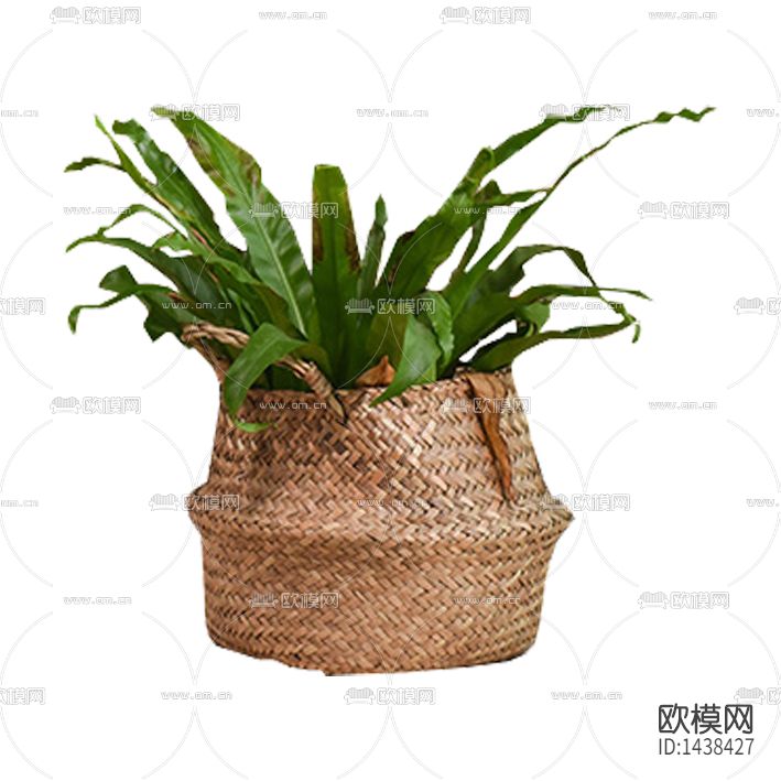 现代藤编绿植盆栽