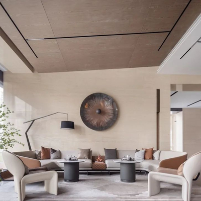 舍致设计 现代沙发组合