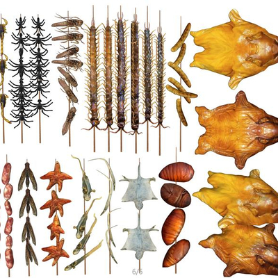  现代王府井油炸昆虫野味烤乳猪su模型 