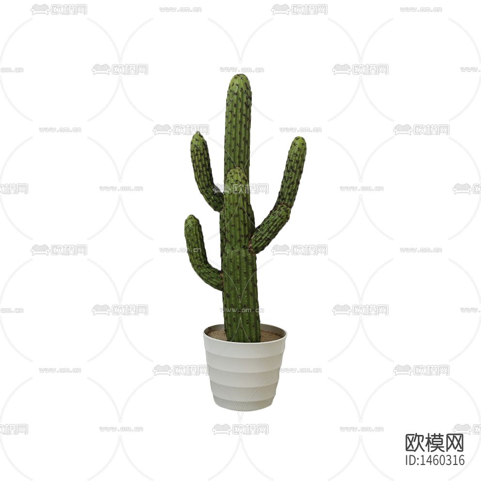 北欧简约创意陶瓷花瓶仙人掌盆栽