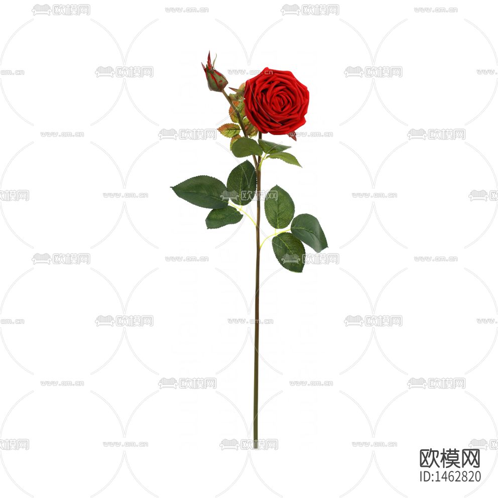 现代简约玫瑰花摆放花艺