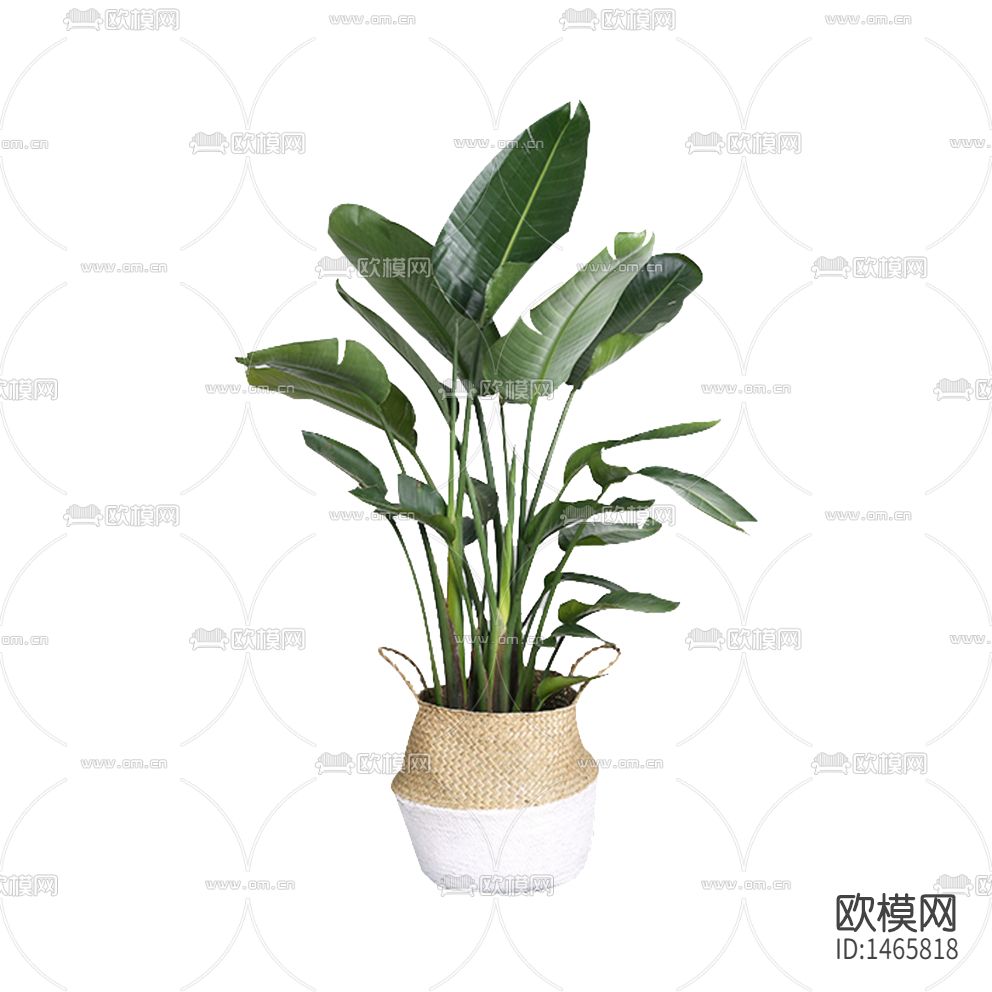 北欧简约编织花盆落地绿植