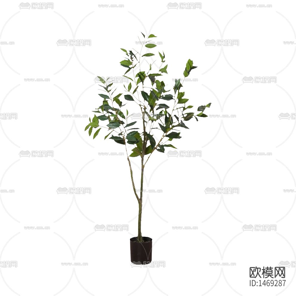 北欧简约创意小型树枝绿植下载