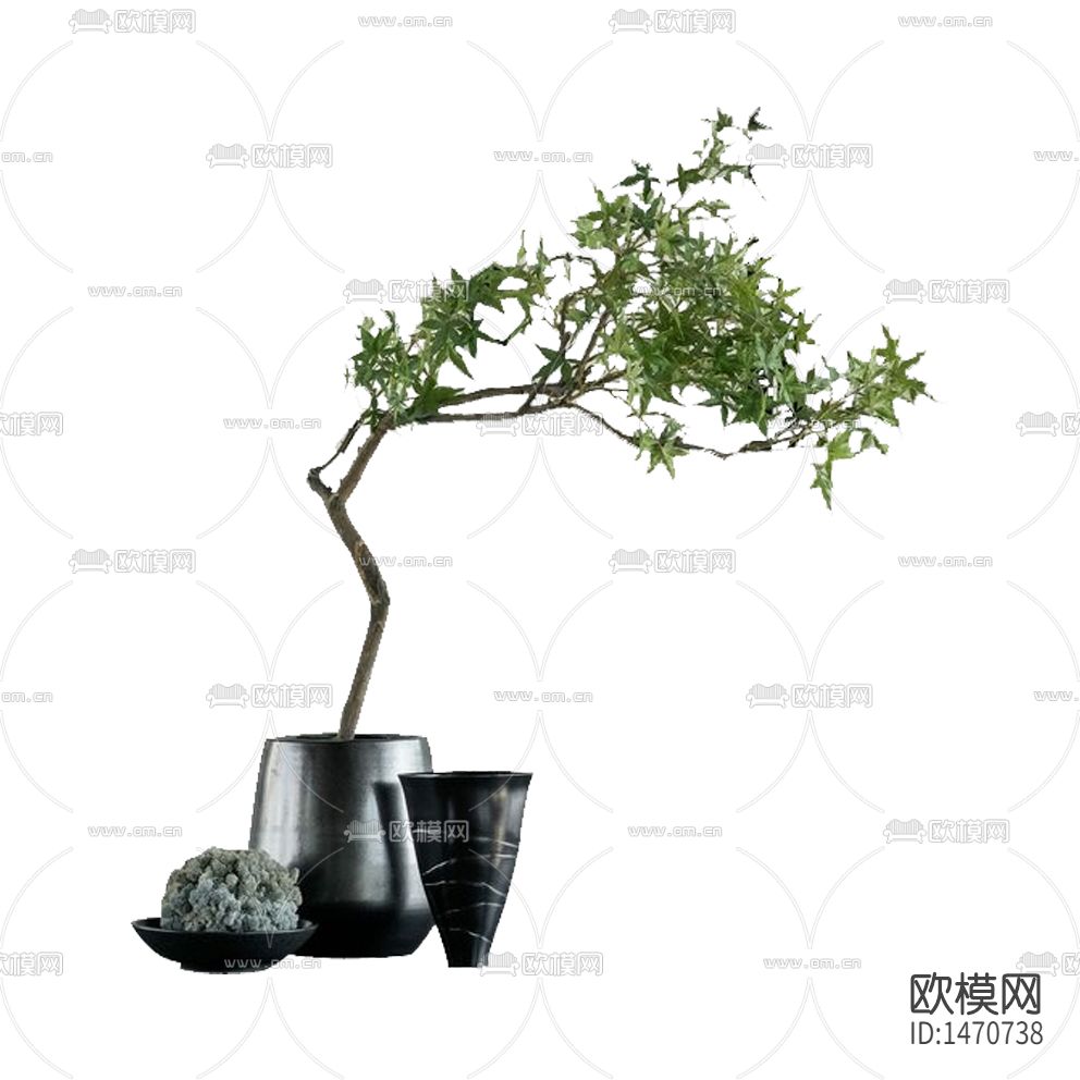 新中式小型榆树绿植盆栽