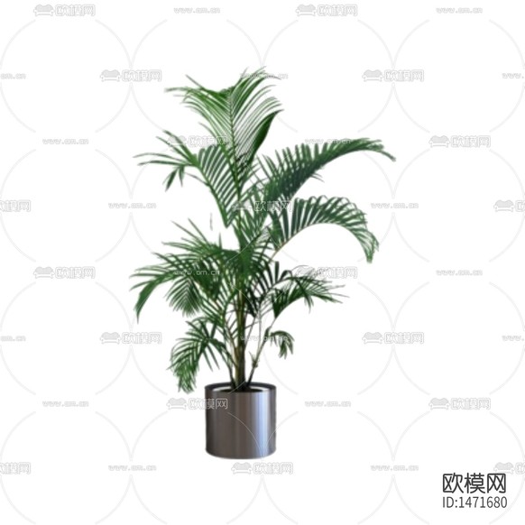 現(xiàn)代綠植盆栽下載