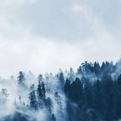  山林湖泊外景贴图 